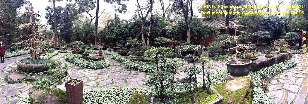 Chendgu 014.JPG